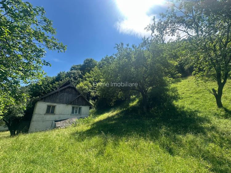 Casa de vacanta 98 mp| 25.000 mp teren| zona Valea Vintului - 6
