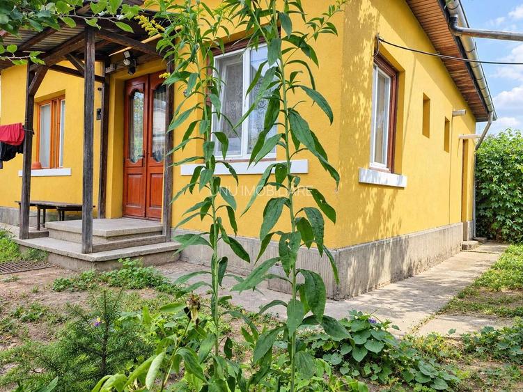 CASĂ DE VÂNZARE ÎN ZONA CENTRALĂ IAȘI, 311 MP TEREN, SĂRĂRIE – TG. CUCU, POTENȚIAL EXCELENT DE RECONFIGURARE - 2