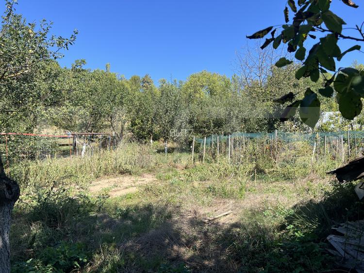 Ferma de vanzare, 250 mp, 70 ha teren agricol, zona Frunzeni - 7