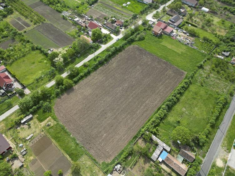 Teren Intravilan de 3,090 mp în Cuvin