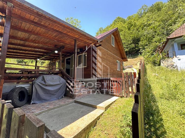 Casa din lemn, zona muntoasa, cu rau, la cheie, Ribita, Hunedoara