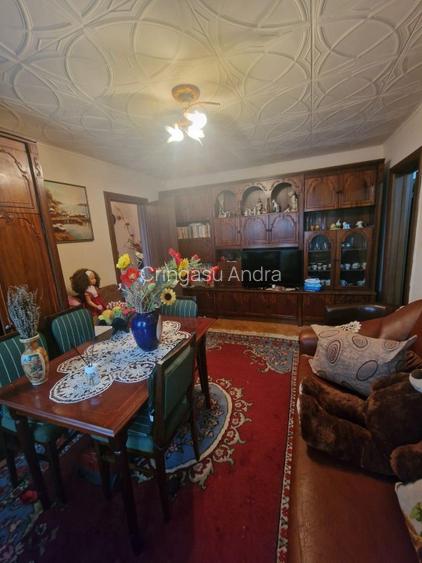 Apartament 2 camere de vanzare – etaj 1, Strada Progresul, langa Parcul Dumbrava - 10