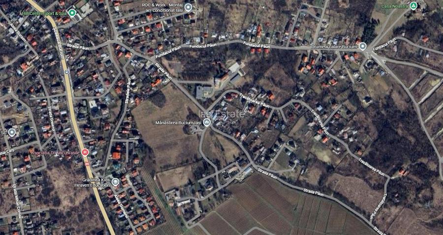 UAT Iasi - Trecatoarea Paun - Teren intravilan Bucium 750mp - 3