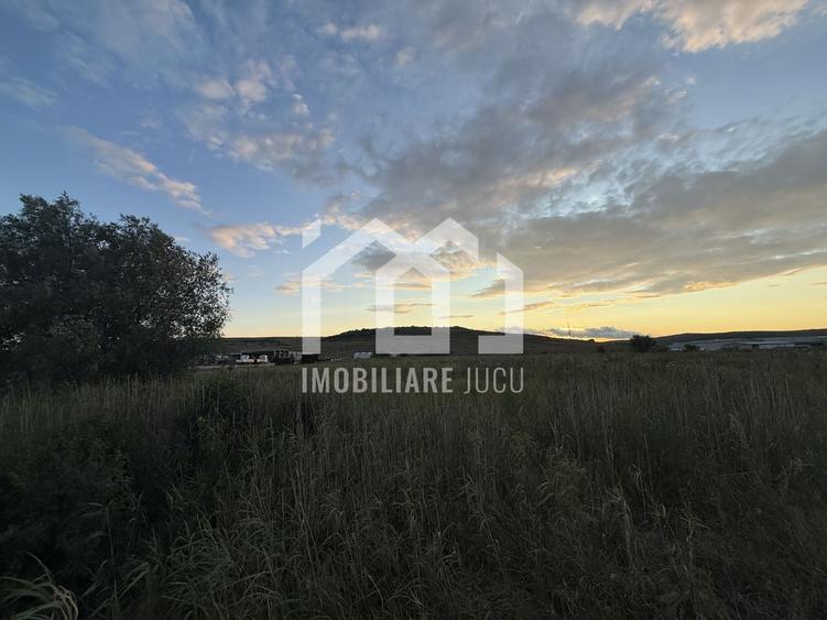 Teren – 7.194 mp | Răscruci – Zona Tetarom