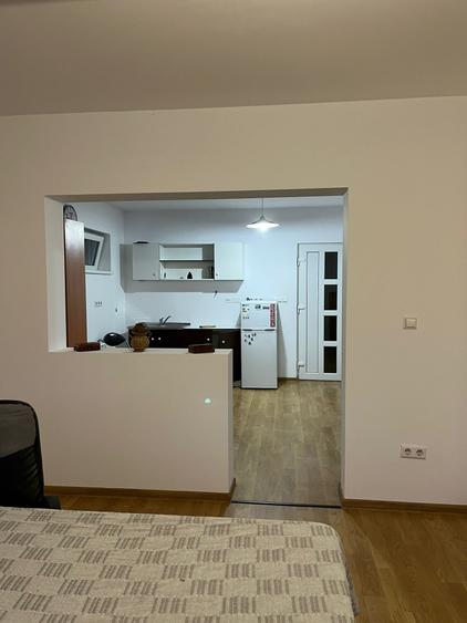 Casă P+M nouă în Sânmihaiu Român