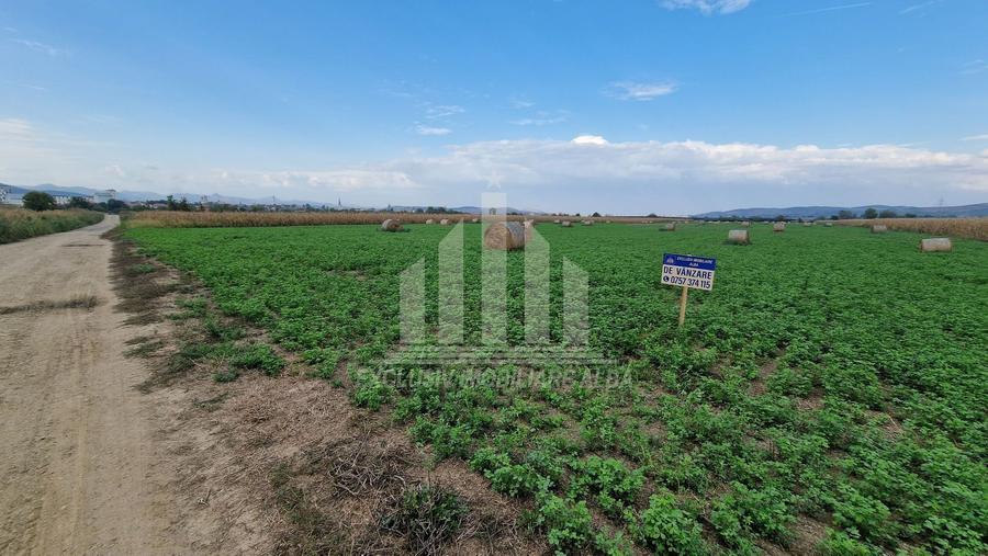 Teren intravilan | 17300 mp | 20 de parcele | Soseaua de Centura
