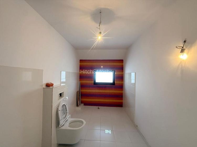 Casă individuală de inchiriat - Moșnița Nouă - 24