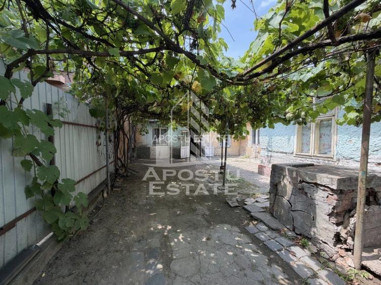 Casa de vanzare,  teren 225 mp, zona Fratelia, Bujorilor, Timisoara - 11