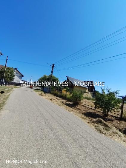 Teren intravilan 4405 mp. Poiana Lacului - 7