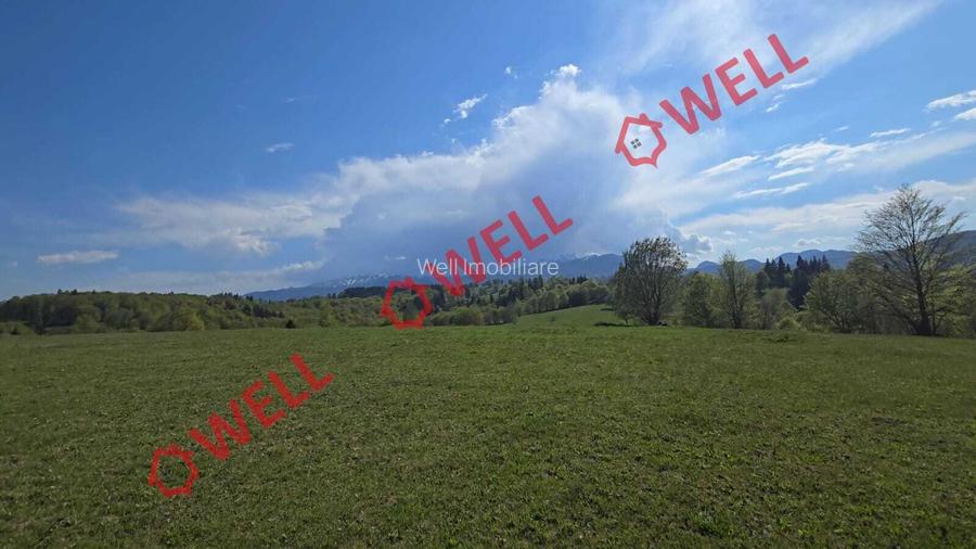 De vânzare 2 terenuri extravilane în localitatea Vama Buzăului!