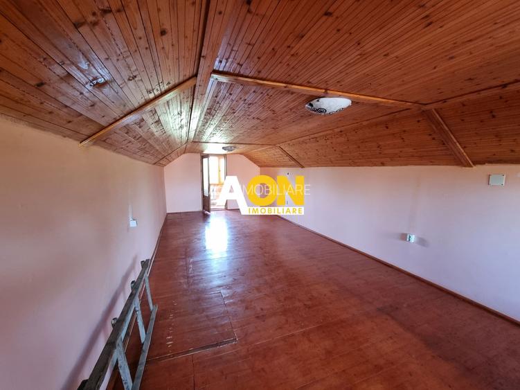 De vanzare casa P+M in stil rustic, 312 mp teren, Barabant - 12