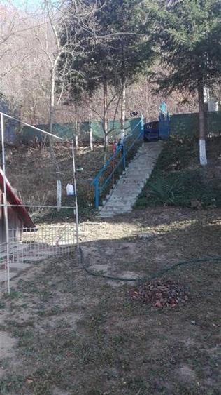Casa de vacanta, din lemn, Bodoc, Judetul Covasna