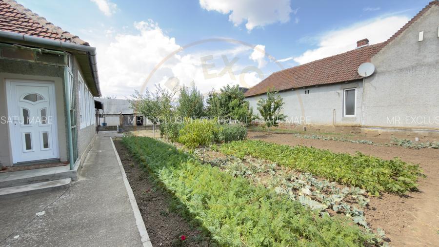 Casă 4 camere, Teren 1005 mp Loc. Căpleni Nr.789 -Jud. Satu Mare - 3