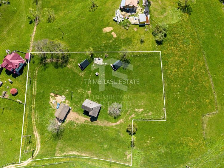 Fundata | Teren intravilan | 7,656 mp + Cabane tip A Frame - 3
