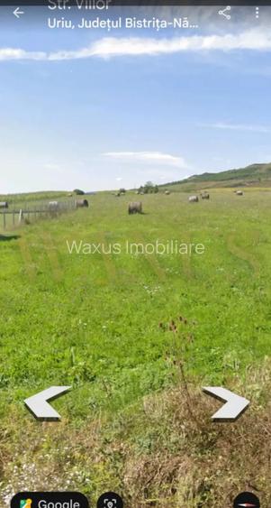 Teren Intravilan , Constructie Casa, Uriu , zona in plina dezvoltare - 4