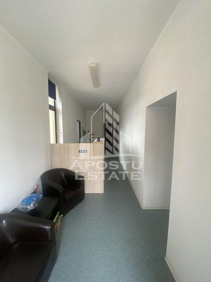 Casa în Dumbrăvița cu teren de 3039 mp și Front Stradal de 40 ml