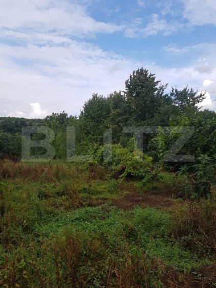 Teren 2.500 mp, Șos. Bârnova, la 1 km de Șos. Bucium