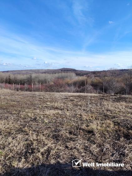 Teren intravilan, cu potential mare