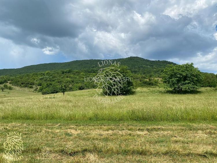 Teren 7200 mp-parcelabil-investitie-Sieu Magherus la 16 km de Bistrita - 7