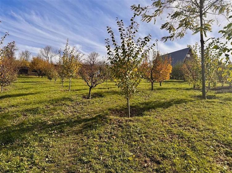 Proprietatea deosebita cu 4000mp teren, Barnova
