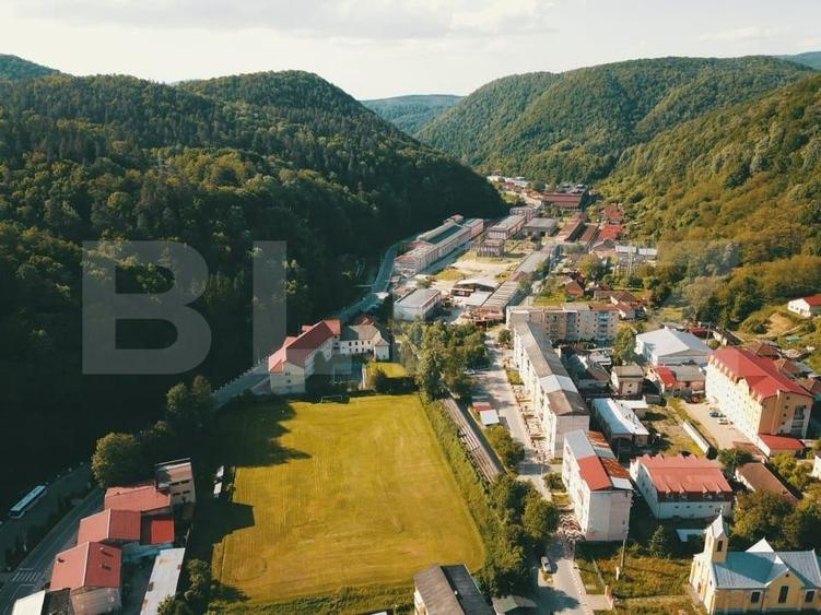 Proprietate de cazare, spatii comerciale, Lugoj