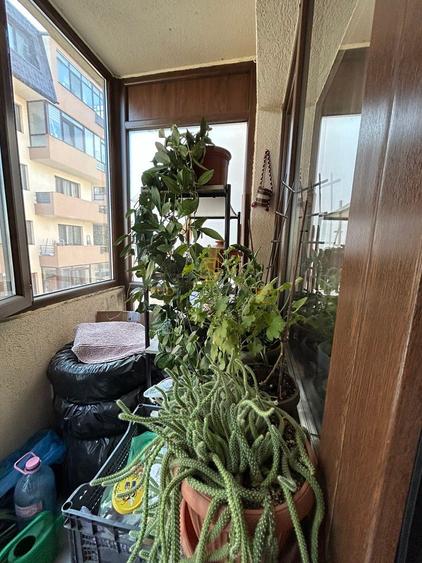 Apartament 2 camere, 58.25 mp, mobilat si utilat complet, Sos Salaj