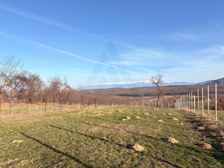 Teren intravilan 809 mp cu deschidere 14 m în Tropinii Noi
