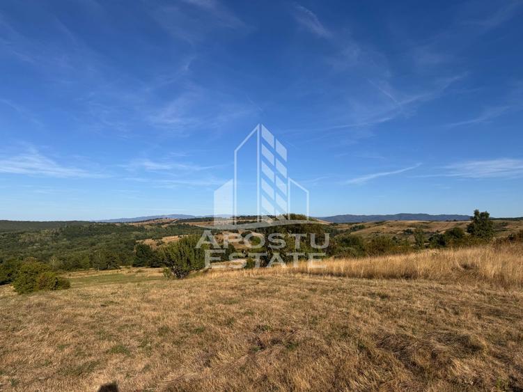 Teren de 50.000mp, priveliste panoramica spre munte si lac, Hunedoara