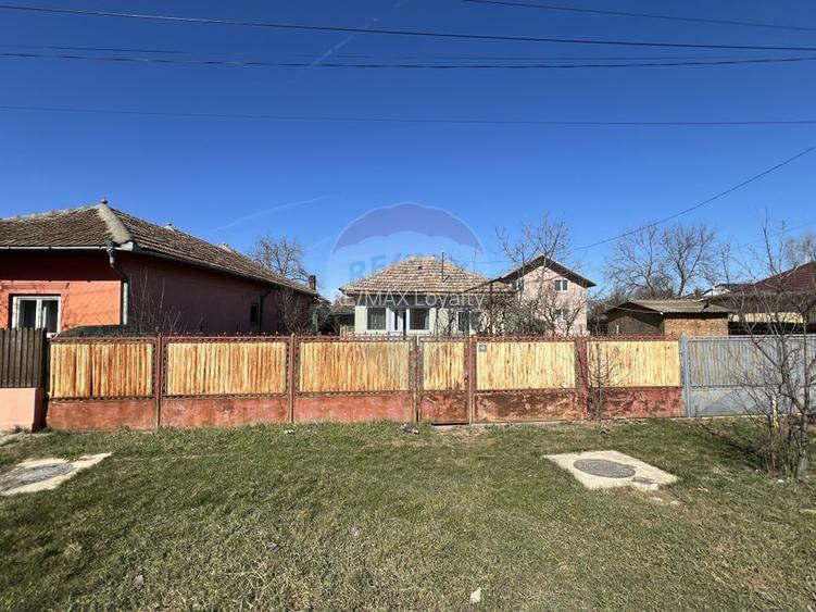 Teren 1192 mp cu livadă matură + casă + utilități | Lipia, Gruiu - 3