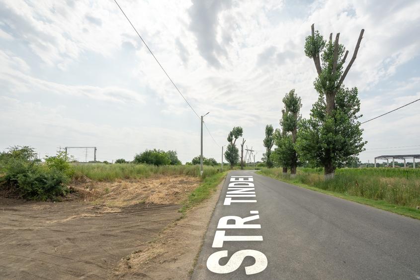 Teren de 30.000 mp în Cernica – pentru Dezvoltare Rezidențială sau Industriala