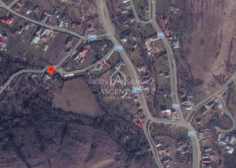 Domeniu 15.900 mp în Fințești | Casă + Investiție Dealu Mare - 29