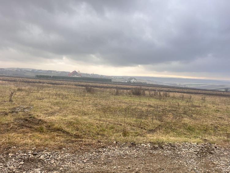 Teren De Vanzare 800mp I Moara, Suceava I Preț: 45.000 Euro