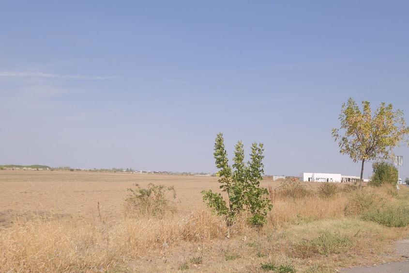 5,7 Ha. vav de Dovinot - Mihailesti, teren intravilan cu deschidere la DN6