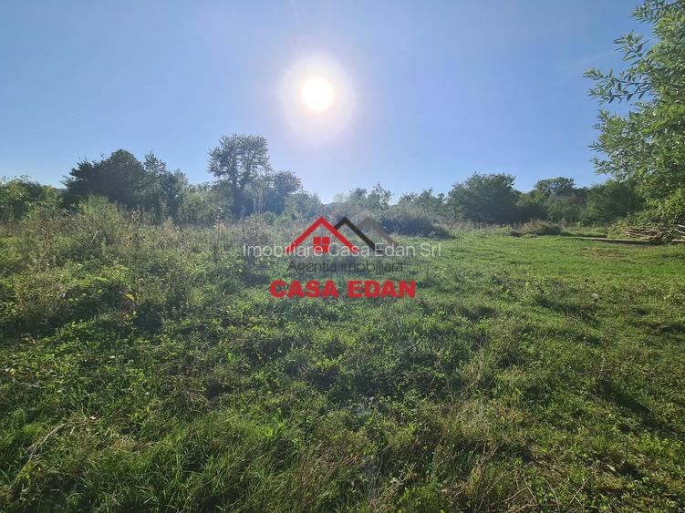 Teren intravilan in Cornu (Ph)--1490 mp--29e - 8