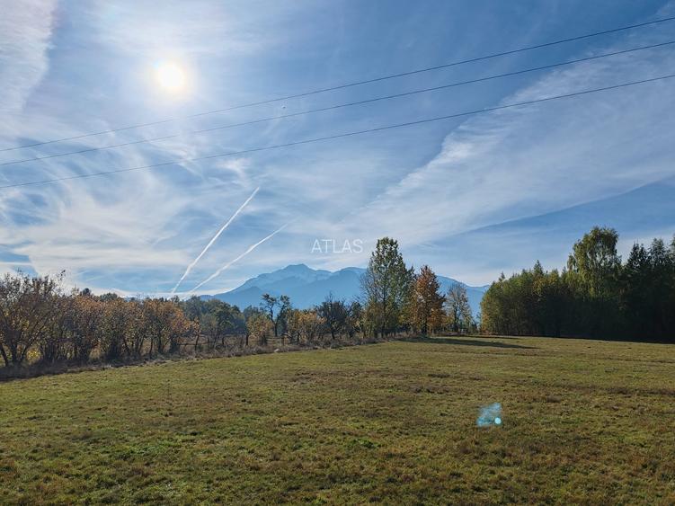 5.800 mp extravilan, Sohodol-Bran, retreat, cabane, off-grid ecoturism, panorama - 4