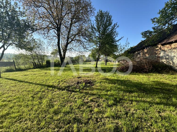 Casa la Tara 3 camere 80 mpu teren 3000 mp Venetia de Sus Fagaras