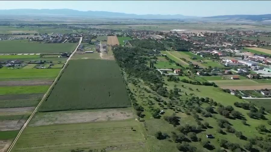 Parcele de 500 mp, potrivite atât pentru construirea unei locuințe, cât și pentr