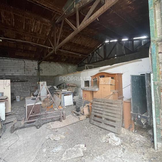 Complex industrial/Ferma de vânzare | Orțișoara, jud. Timiș - 38