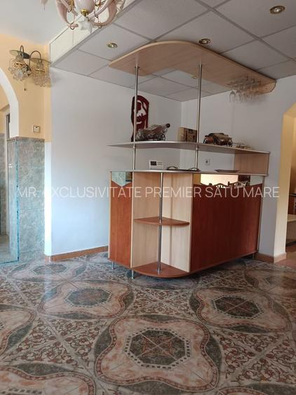 Vilă P+E de vânzare în Valea lui Mihai – 233 mp, teren 733 mp - 33