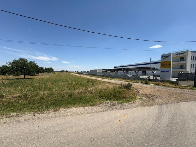 Teren intravilan de vânzare – 10.000 mp – Brănești, Ilfov – Str. Gării