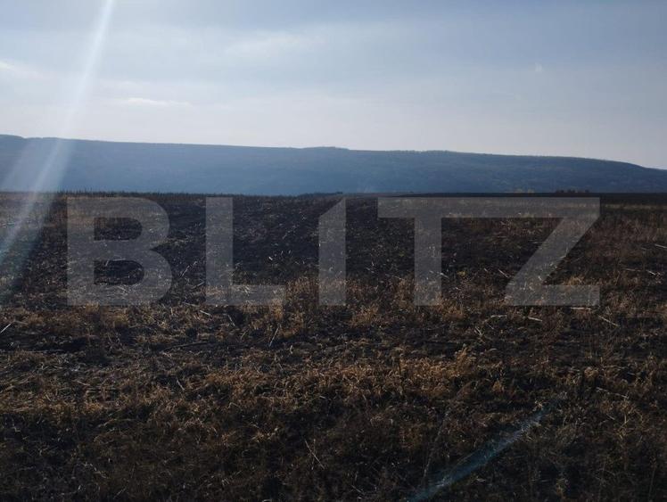 Teren 2,8 ha, langa viitoarea Autostrada, Letcani