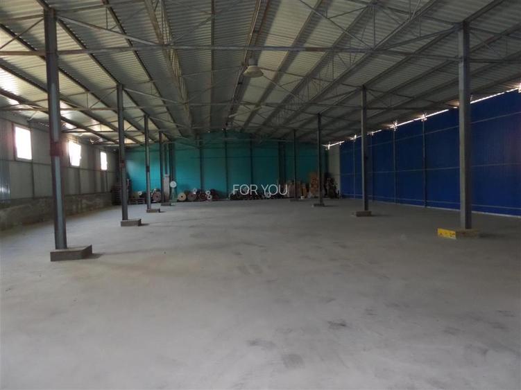 Hala Productie / Depozitare 600 mp + Teren 1000 mp – Magura (Farbe), Bacau – Acc - 3