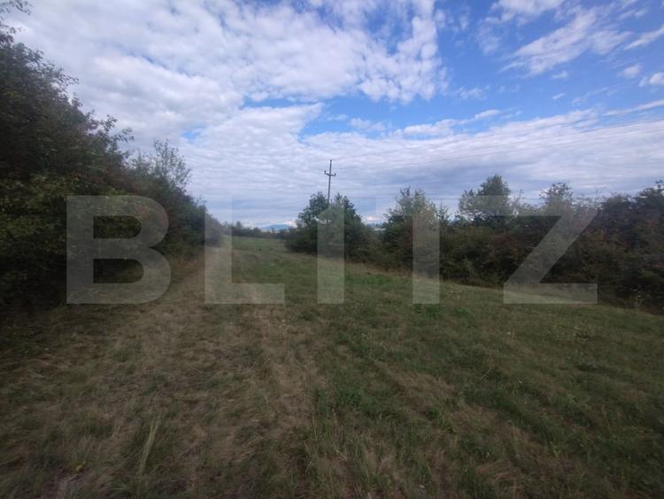 Teren extravilan in suprafata de 35 de ari, zona Beclenut, ideal cabana
