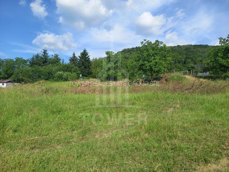Teren în Fântânele – 3.673 mp, pârâu si cadru natural  deosebit - 6