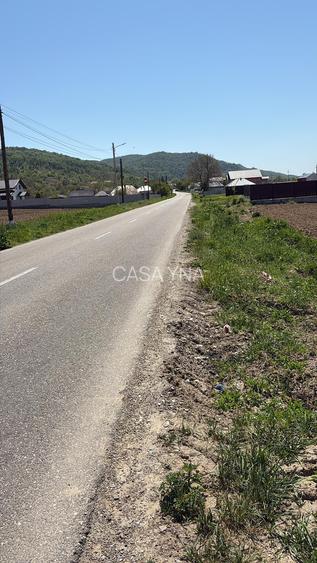 Loturi de teren intravilan/extravilan - Buhoci! - 2