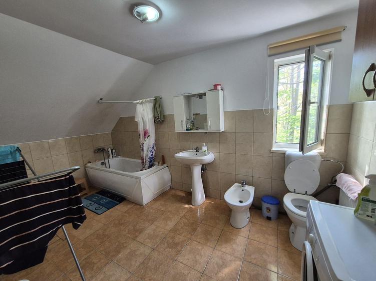 Casa P+1 din lemn - Mihailesti