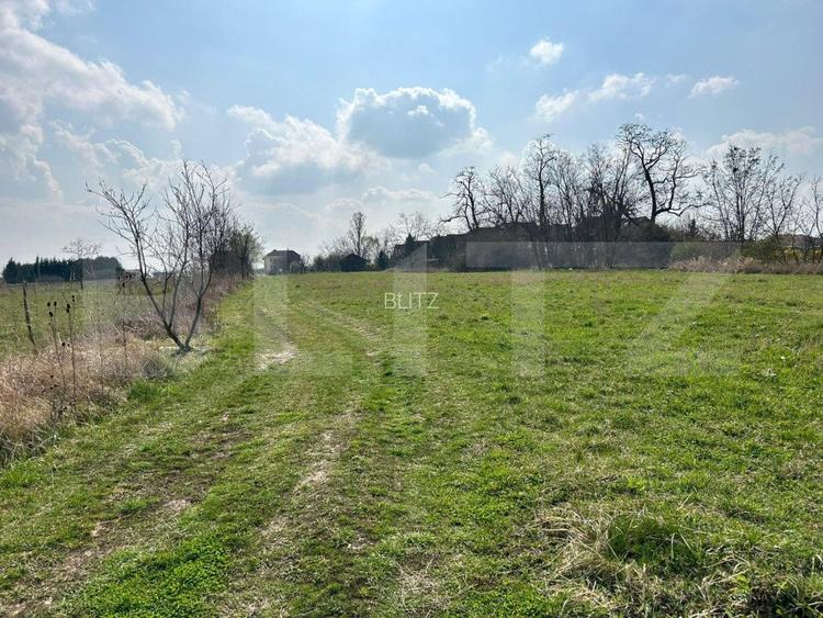 Doua parcele de vanzare | 900mp | Floare de colt - 3