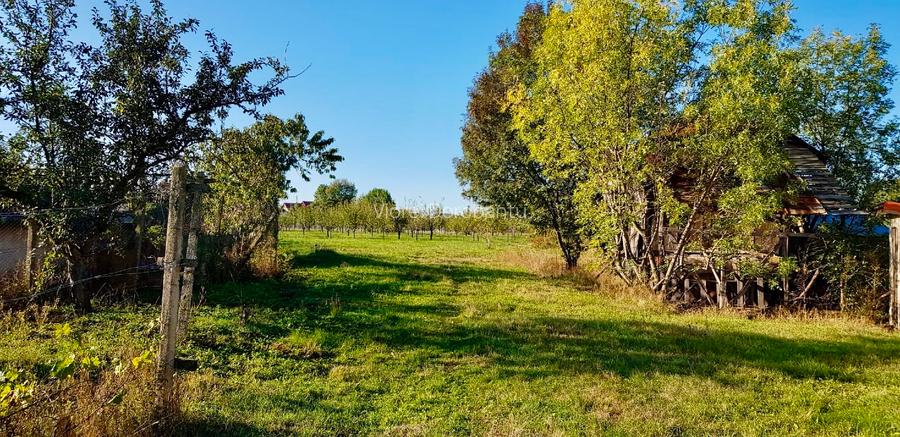 Casa si teren de vanzare (6000 mp) - 7
