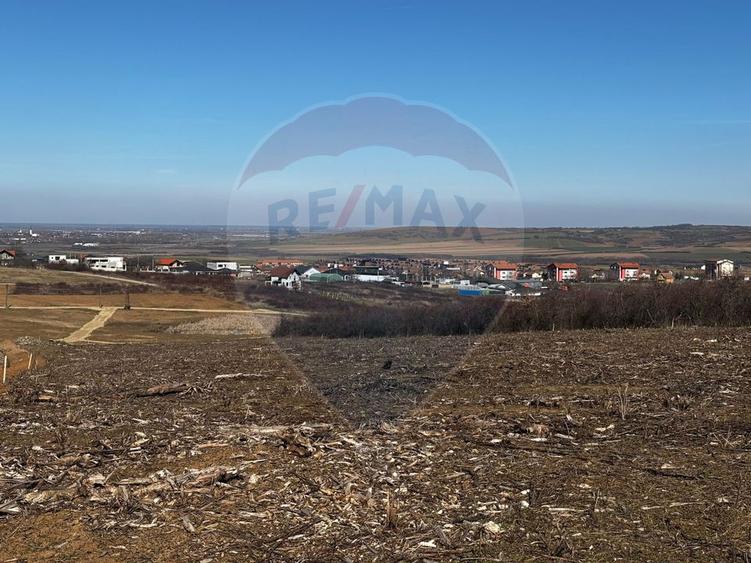 Teren de vânzare – Paleu, județul Bihor | 3 parcele a câte 618 mp