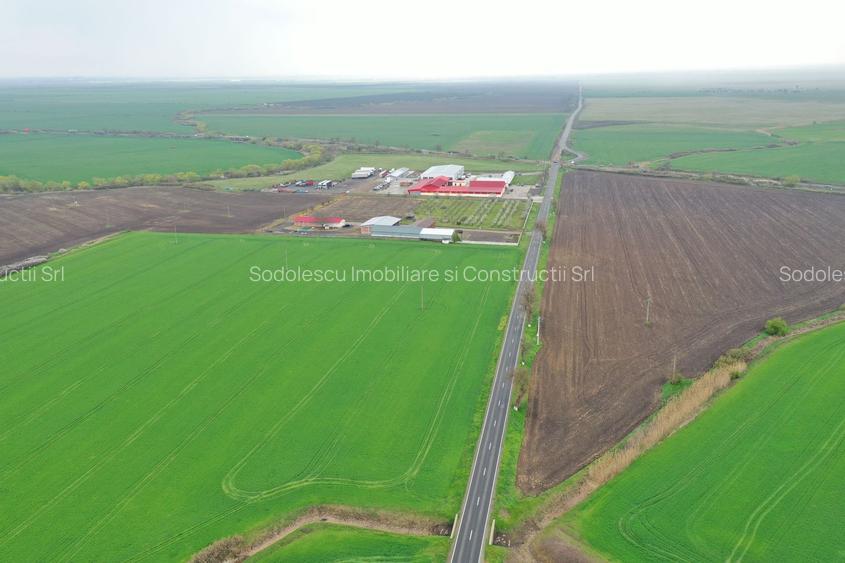 Teren industrial Dudestii Noi - 2